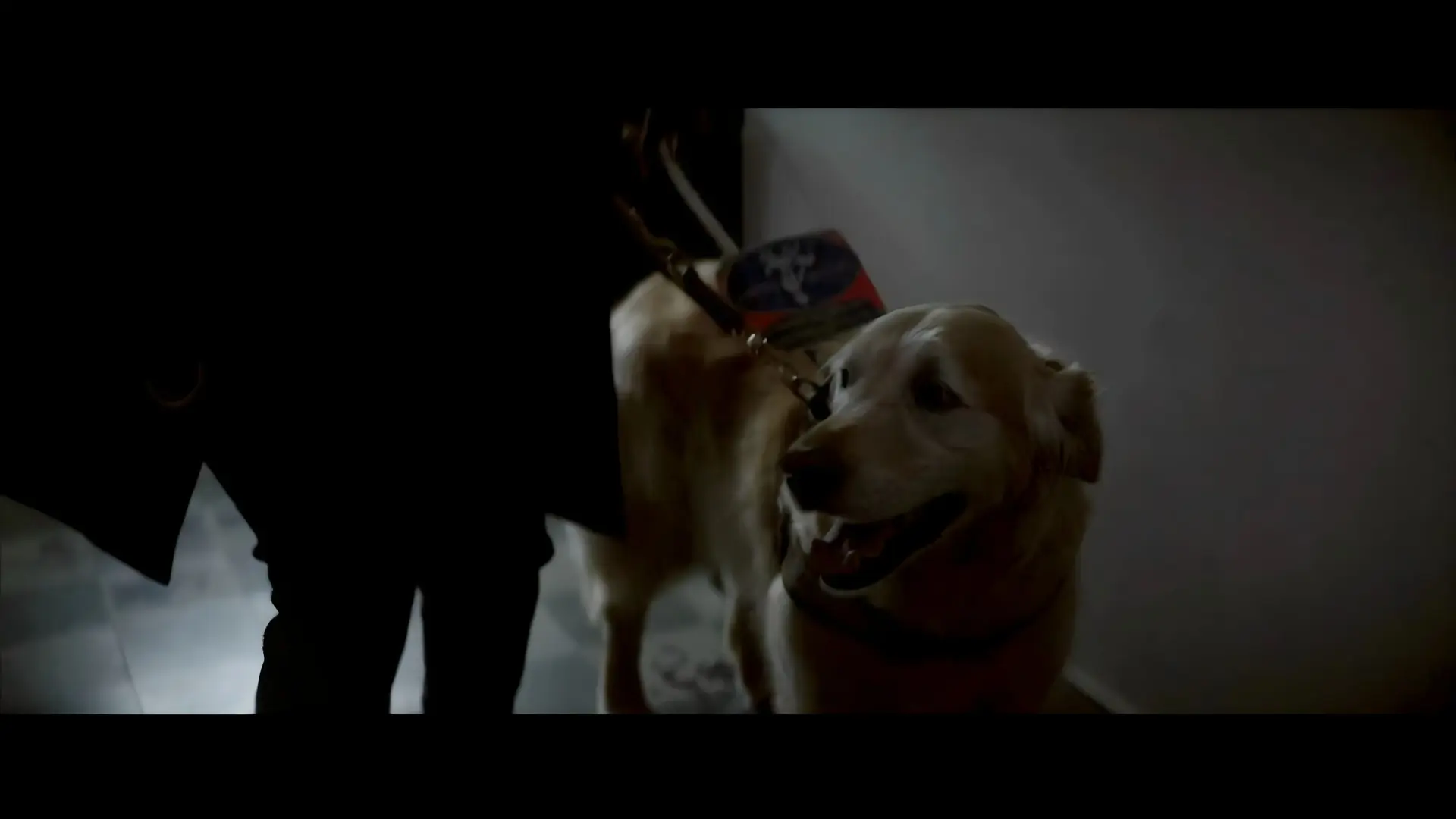 Amazon - Morning Ritual