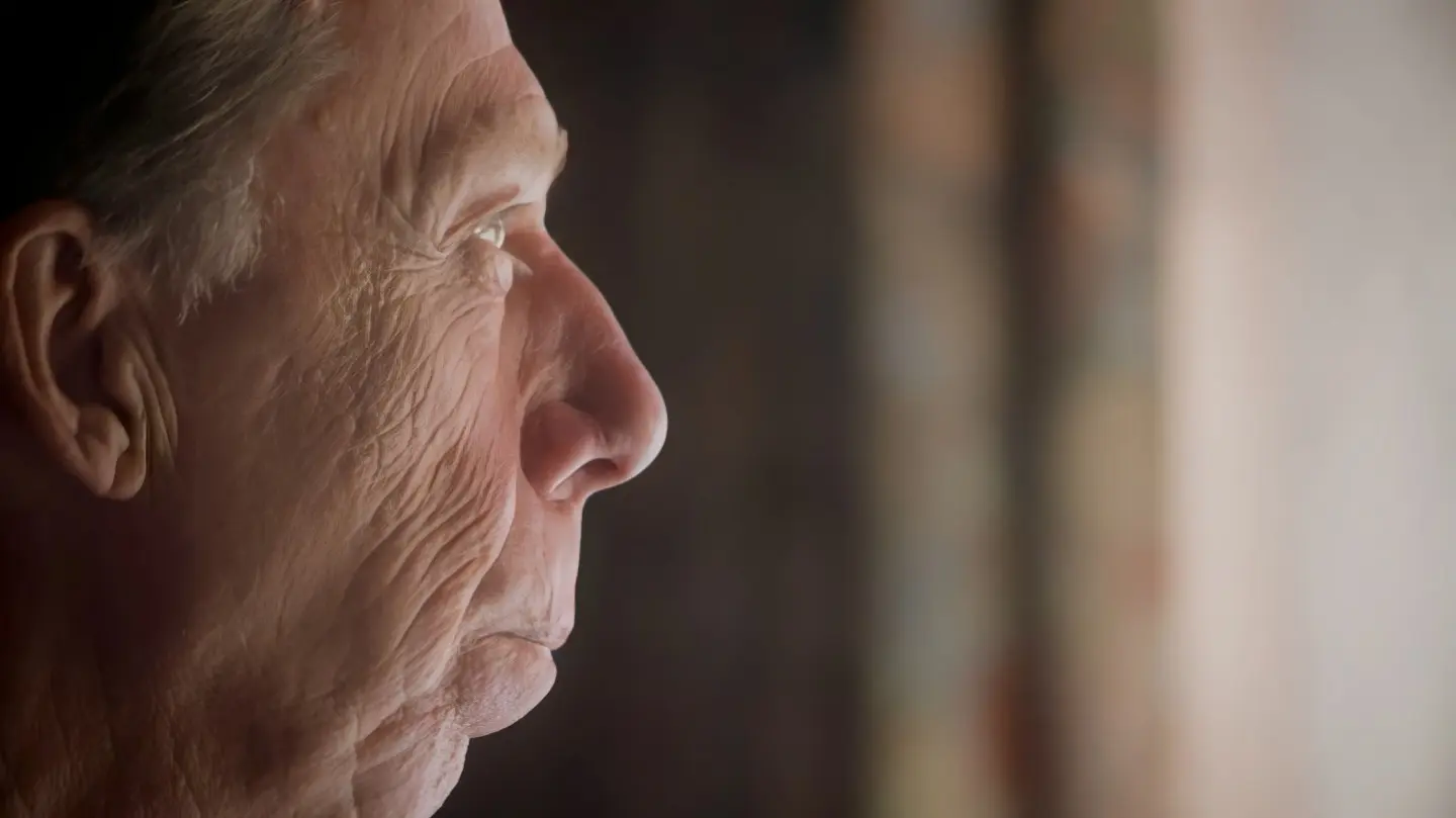 Aston Villa Fan Digital Eagle