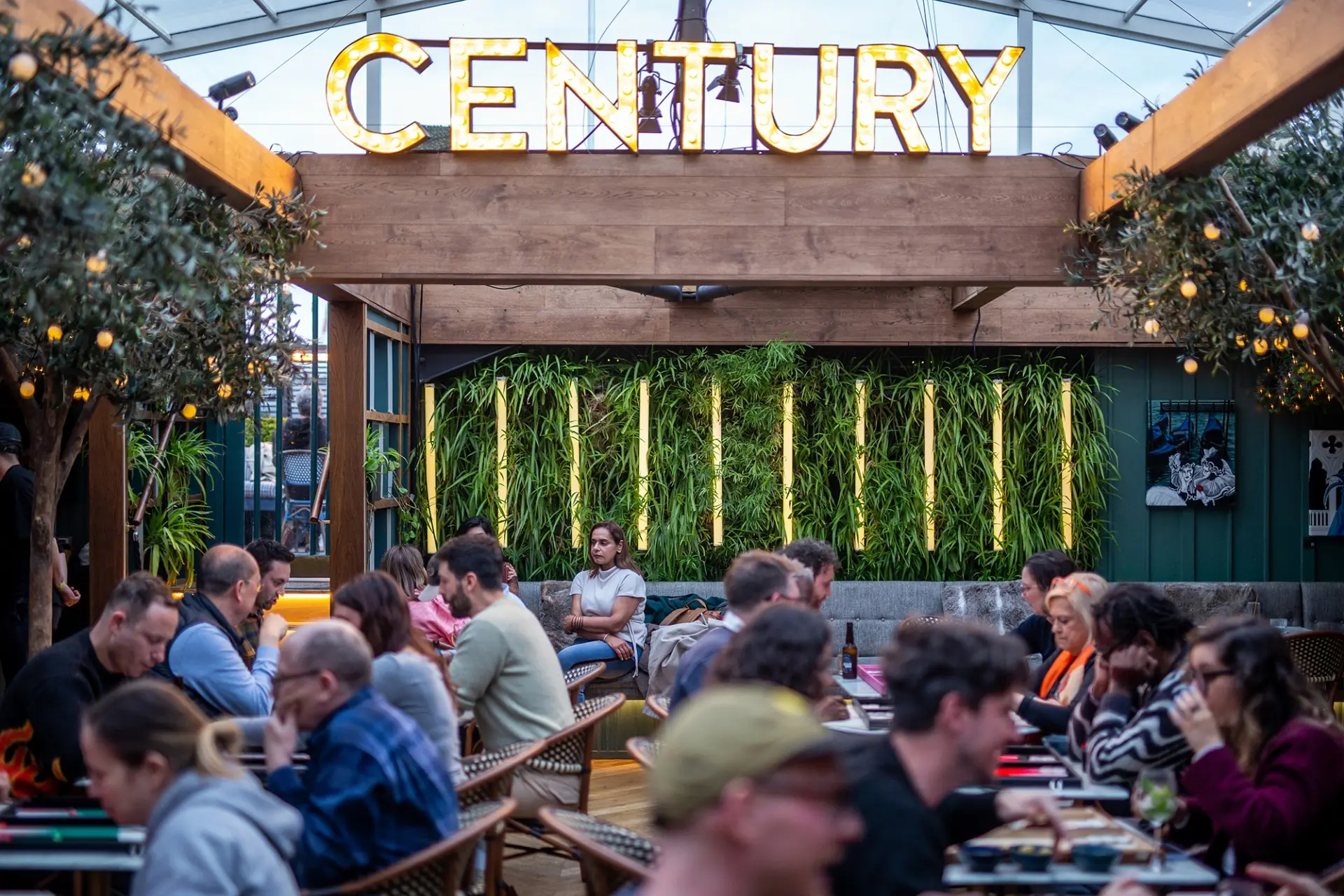 Rolling the Dice: DLMDD & Doc Brown play backgammon