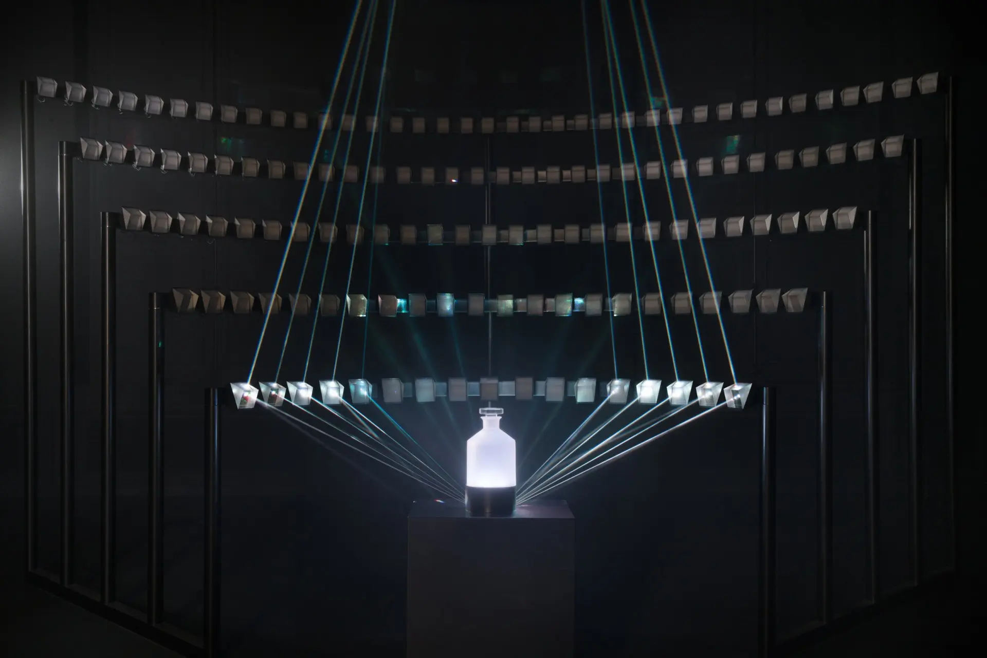 Photo Credits: James Medcraft